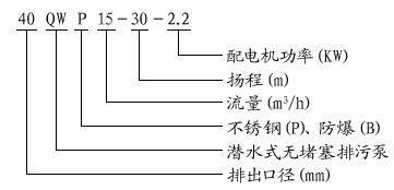 大東海泵業(yè)潛水排污泵型號(hào)意義