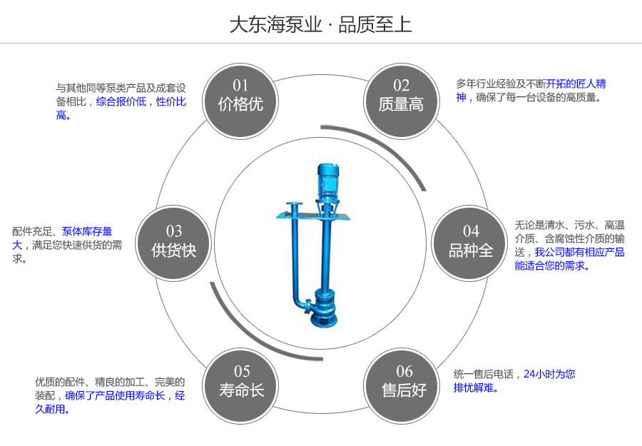 大東海泵業(yè)液下排污泵質量保證圖